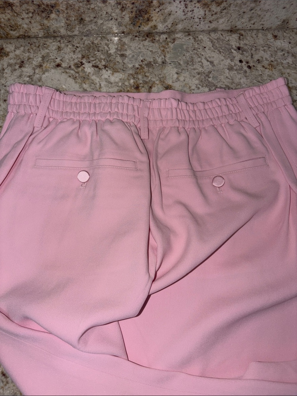 Zadig & Voltaire Panda Crepe Rose Tailored Dress Pants (Elastic Back) Retail$298 - Picture 4 of 5
